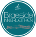Braeside Holiday apartment Innerleithen, Peebles, Scottish Borders logo